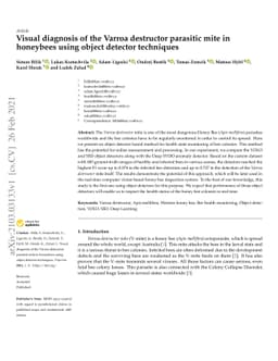 Visual diagnosis of the Varroa destructor parasitic mite in honeybees
  using object detector techniques