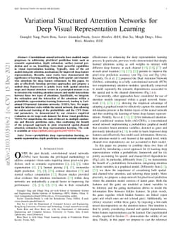 Variational Structured Attention Networks for Deep Visual Representation
  Learning