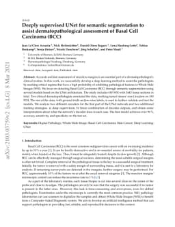 Deeply supervised UNet for semantic segmentation to assist
  dermatopathological assessment of Basal Cell Carcinoma (BCC)