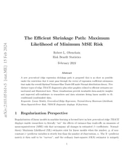 The Efficient Shrinkage Path: Maximum Likelihood of Minimum MSE Risk