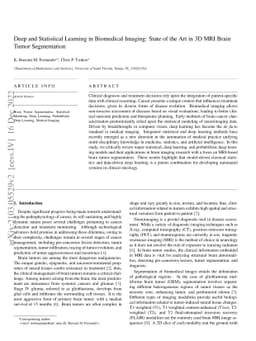 Deep and Statistical Learning in Biomedical Imaging: State of the Art in
  3D MRI Brain Tumor Segmentation