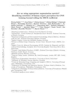 Are we using appropriate segmentation metrics? Identifying correlates of
  human expert perception for CNN training beyond rolling the DICE coefficient