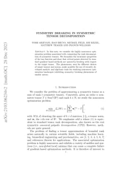 Symmetry Breaking in Symmetric Tensor Decomposition