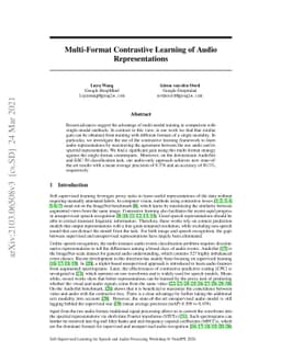 Multi-Format Contrastive Learning of Audio Representations