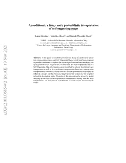 A conditional, a fuzzy and a probabilistic interpretation of
  self-organising maps