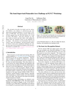 The Semi-Supervised iNaturalist-Aves Challenge at FGVC7 Workshop