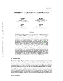dNNsolve: an efficient NN-based PDE solver