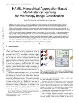 HAMIL: Hierarchical Aggregation-Based Multi-Instance Learning for
  Microscopy Image Classification