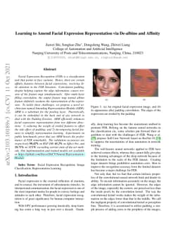 Learning to Amend Facial Expression Representation via De-albino and
  Affinity