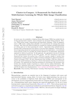 Cluster-to-Conquer: A Framework for End-to-End Multi-Instance Learning
  for Whole Slide Image Classification