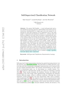 Self-Supervised Classification Network