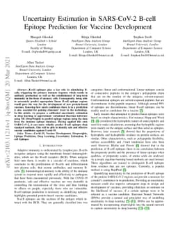 Uncertainty Estimation in SARS-CoV-2 B-cell Epitope Prediction for
  Vaccine Development