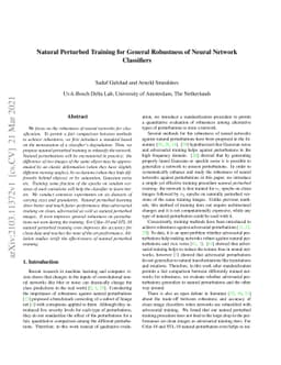 Natural Perturbed Training for General Robustness of Neural Network
  Classifiers