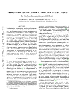 Channel Scaling: A Scale-and-Select Approach for Transfer Learning