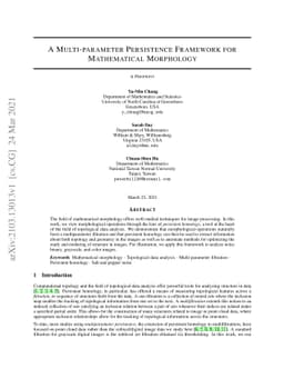 A Multi-parameter Persistence Framework for Mathematical Morphology