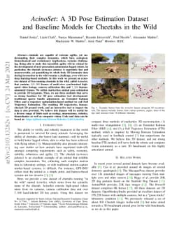 AcinoSet: A 3D Pose Estimation Dataset and Baseline Models for Cheetahs
  in the Wild