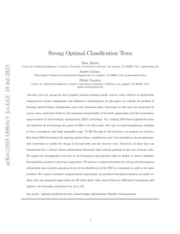 Strong Optimal Classification Trees
