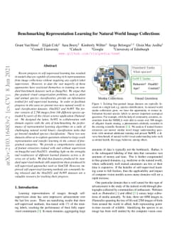 Benchmarking Representation Learning for Natural World Image Collections
