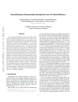 Neural Response Interpretation through the Lens of Critical Pathways
