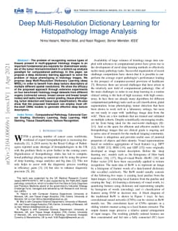 Deep Multi-Resolution Dictionary Learning for Histopathology Image
  Analysis