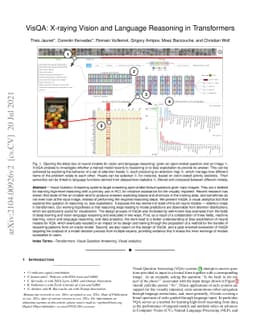VisQA: X-raying Vision and Language Reasoning in Transformers