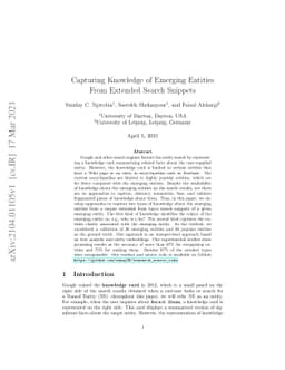Capturing Knowledge of Emerging Entities From Extended Search Snippets