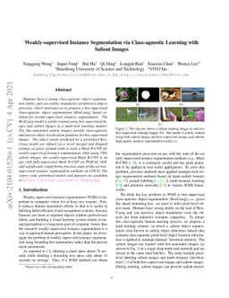 Weakly-supervised Instance Segmentation via Class-agnostic Learning with
  Salient Images