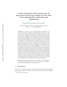 A fully automated end-to-end process for fluorescence microscopy images
  of yeast cells: From segmentation to detection and classification