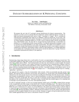Dataset Summarization by K Principal Concepts