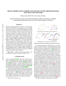 BiP-Net: Bidirectional Perspective Strategy based Arbitrary-Shaped Text
  Detection Network