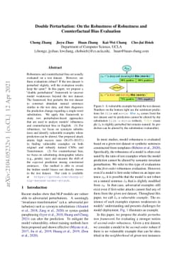 Double Perturbation: On the Robustness of Robustness and Counterfactual
  Bias Evaluation