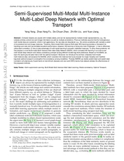 Semi-Supervised Multi-Modal Multi-Instance Multi-Label Deep Network with
  Optimal Transport