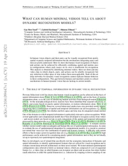 What can human minimal videos tell us about dynamic recognition models?