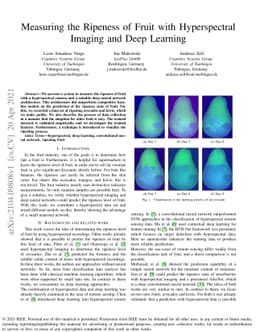 Measuring the Ripeness of Fruit with Hyperspectral Imaging and Deep
  Learning