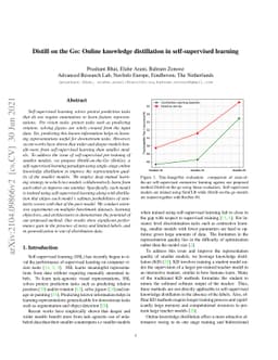 Distill on the Go: Online knowledge distillation in self-supervised
  learning
