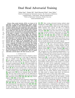 Dual Head Adversarial Training