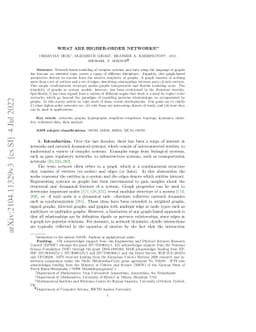 What are higher-order networks?