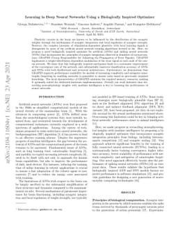 Learning in Deep Neural Networks Using a Biologically Inspired Optimizer