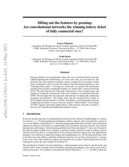 Sifting out the features by pruning: Are convolutional networks the
  winning lottery ticket of fully connected ones?