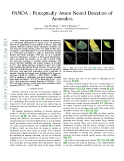 PANDA : Perceptually Aware Neural Detection of Anomalies