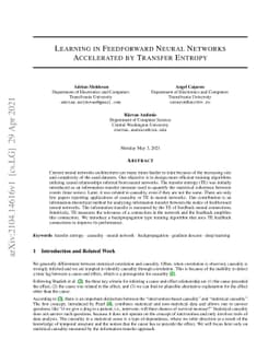 Learning in Feedforward Neural Networks Accelerated by Transfer Entropy