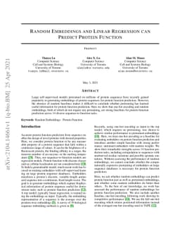 Random Embeddings and Linear Regression can Predict Protein Function