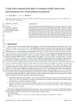 Using brain inspired principles to unsupervisedly learn good
  representations for visual pattern recognition