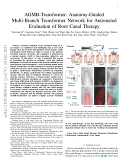 AGMB-Transformer: Anatomy-Guided Multi-Branch Transformer Network for
  Automated Evaluation of Root Canal Therapy