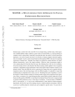 MAFER: a Multi-resolution Approach to Facial Expression Recognition