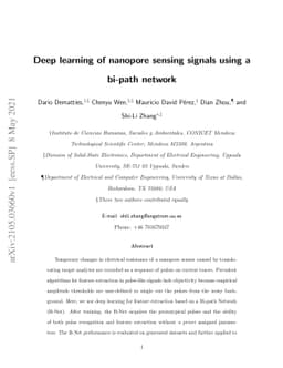 Deep learning of nanopore sensing signals using a bi-path network
