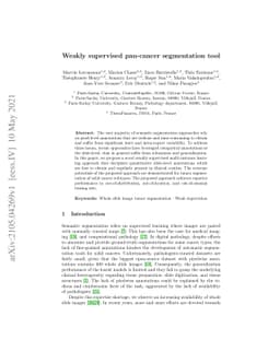 Weakly supervised pan-cancer segmentation tool