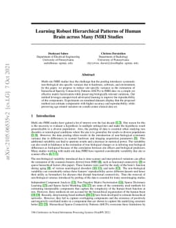 Learning Robust Hierarchical Patterns of Human Brain across Many fMRI
  Studies