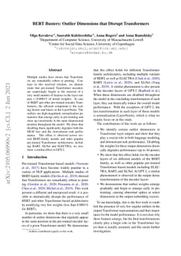 BERT Busters: Outlier Dimensions that Disrupt Transformers
