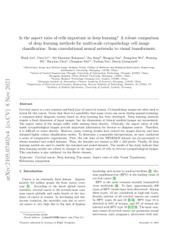 Is the aspect ratio of cells important in deep learning? A robust
  comparison of deep learning methods for multi-scale cytopathology cell image
  classification: from convolutional neural networks to visual transformers